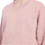 Purchase (Women) LOEWE Pink Solid Color Cotton Cropped Sweatshirt. S359Y24X47-7140