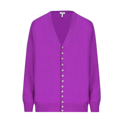 (Women) LOEWE Purple Single-Breasted V-Neck Long Sleeve Sweater. S540Y16K56-6120
