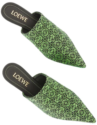 (Women) LOEWE Anagram Slip-On Stiletto Mules 'Green' L815S01X35-1687 Lookbook (Women) LOEWE Anagram Slip-On Stiletto Mules 'Green' L815S01X35-1687