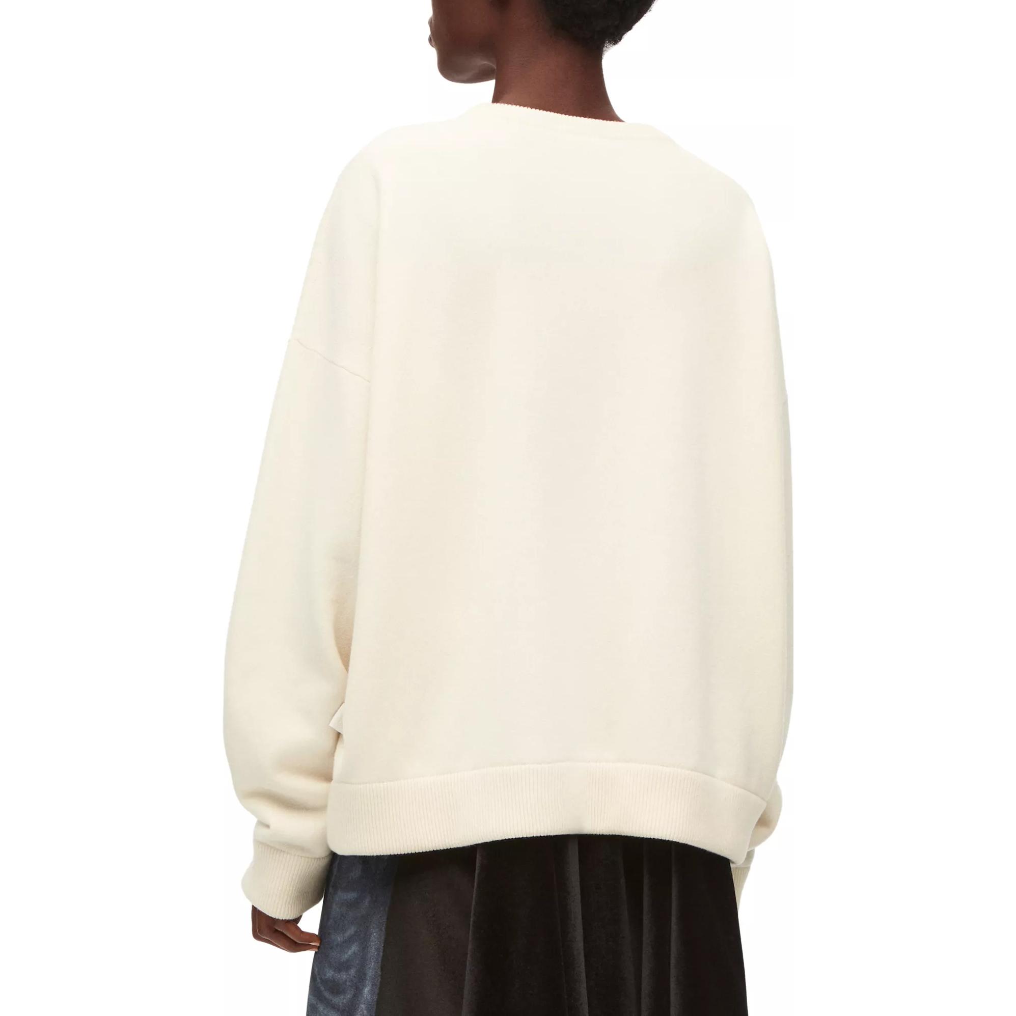 Purchase (Women) LOEWE FW22  Beige Crewneck Pullover Sweater Long Sleeve. S540Y14KB7