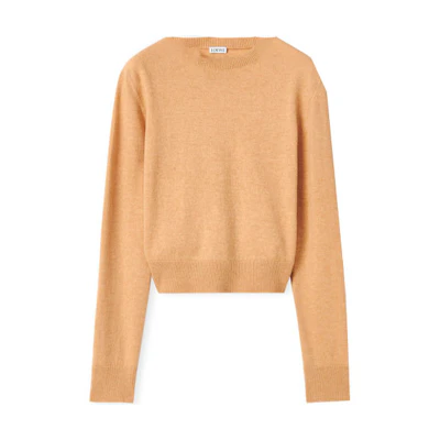 (Women) LOEWE FW22 Camel Backless Long-Sleeve Wool Sweater S359Y14KAM-3150