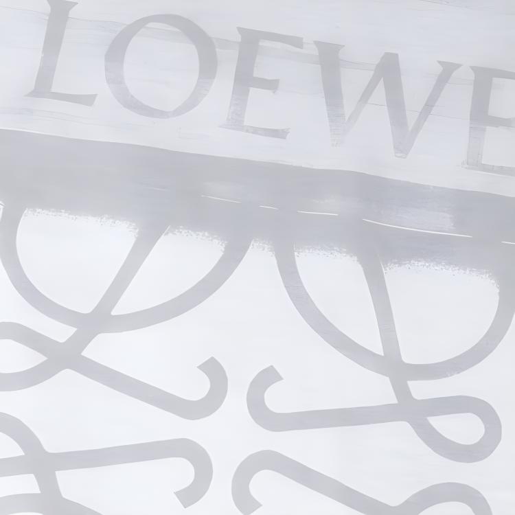 Sizing (W) LOEWE 2023秋冬 图案Logo印花白色宽松版短袖T恤 S359Y22X44-2116