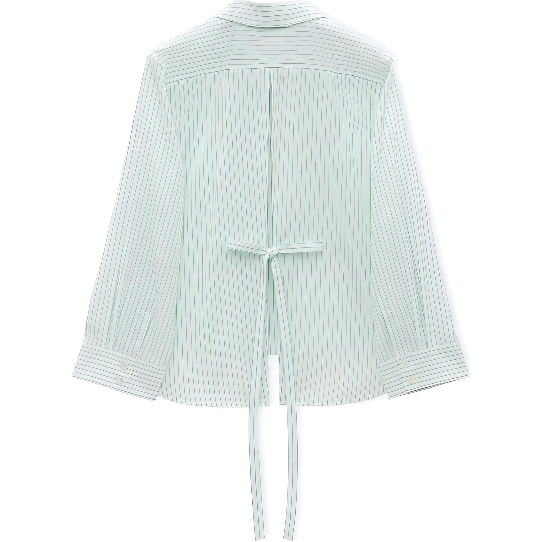 Lookbook (W) ロエベ SS24 グリーンホワイト ストライプ 長袖 ボタンアップシャツ. S359Y05XCB-4102