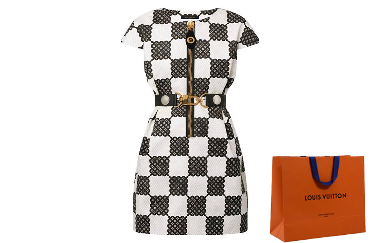 Details for (W) 路易威登FW23全印花短袖拉链连衣裙女士多色 1ABQWM