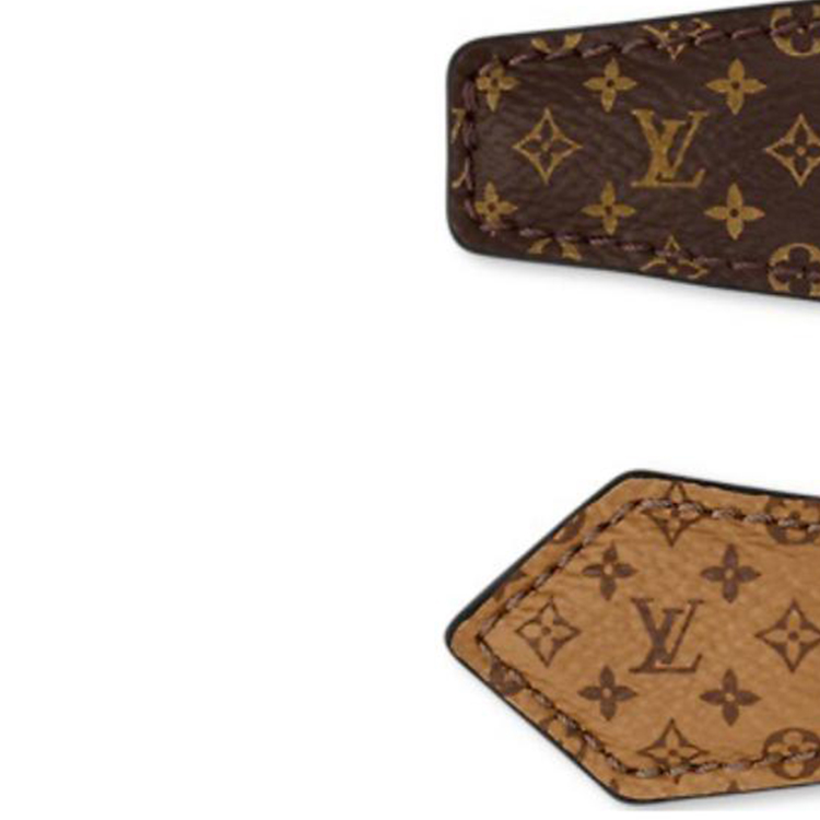 Shop (W) ルイ・ヴィトン ロゴ キャンバス ヘアクリップ レディース ブラウン. M02185