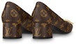 Shop (Women) Louis Vuitton LV Madeleine Block Heels 'Brown Monogram' 1A8NCJ