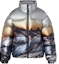 Order (Women) LOUIS VUITTON SS22 Scenic Print Down Jacket Grey 1A9N5W