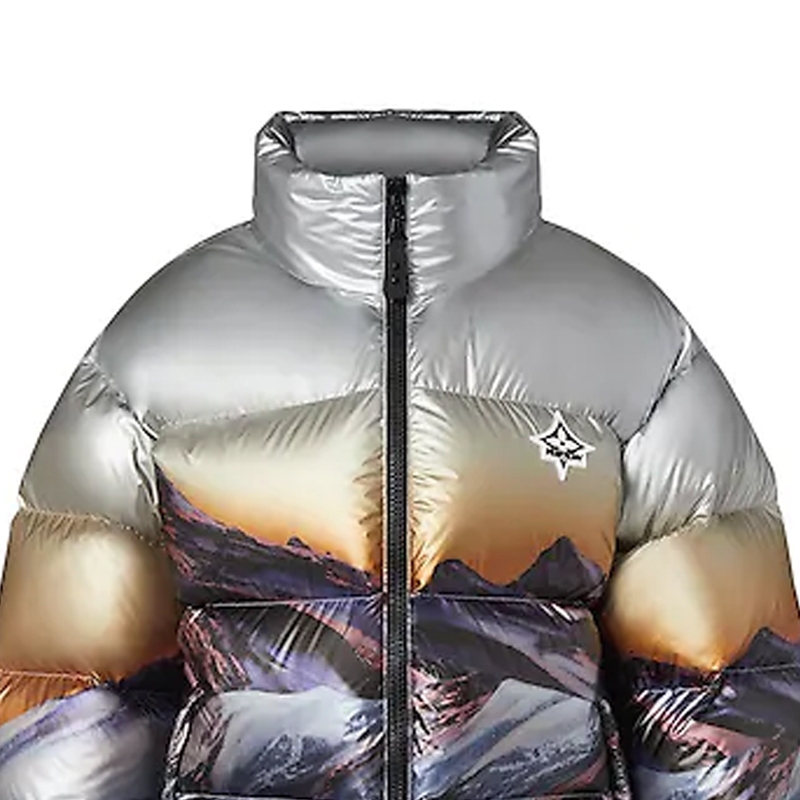 Purchase (Women) LOUIS VUITTON SS22 Scenic Print Down Jacket Grey 1A9N5W