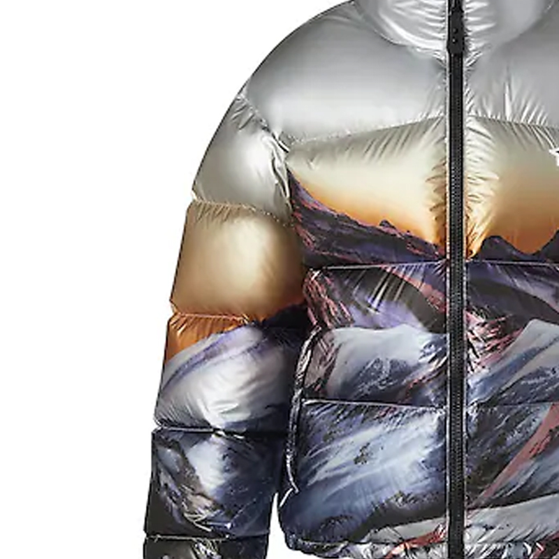 Details for (Women) LOUIS VUITTON SS22 Scenic Print Down Jacket Grey 1A9N5W