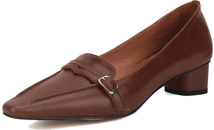women-luiza-barcelos-retro-pointed-toe-chunky-heel-brown-x900815
