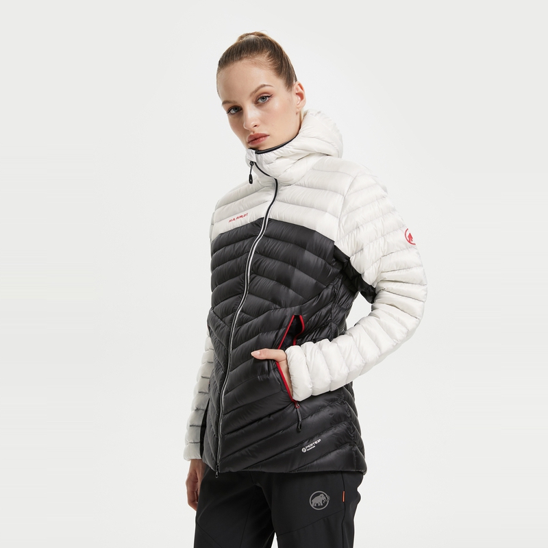 Details for (W) MAMMUT 防風防水800蓬羽絨外套 戶外登山夾克 1013-00350