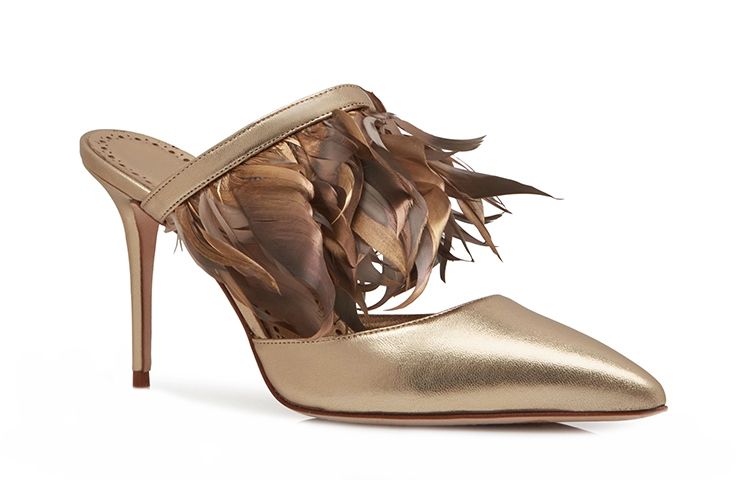 Order (W) 마놀로 블라닉 이기니아골드 '골드 페더' 421-1129-0001