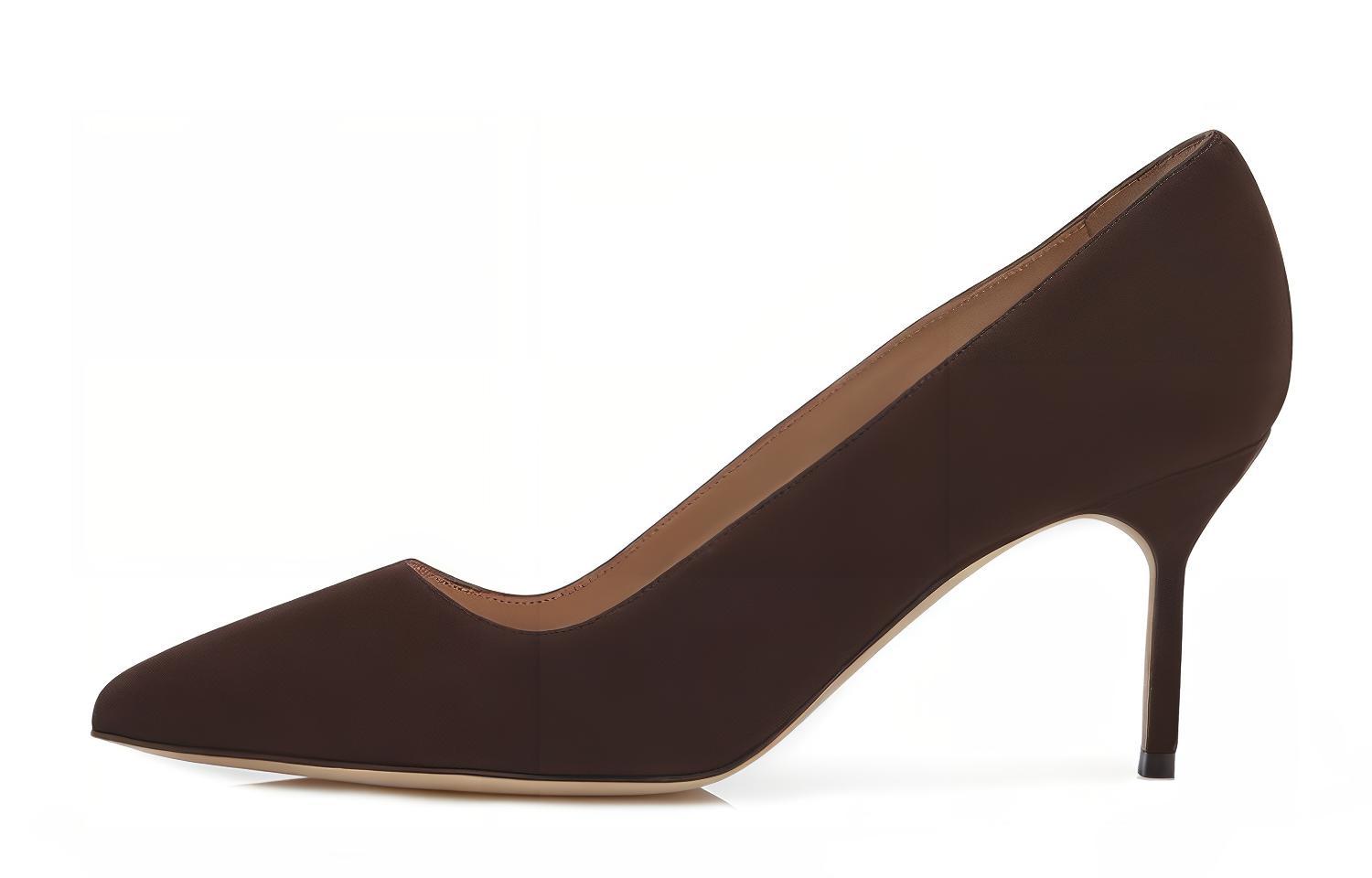 (W) Manolo Blahnik Pointed-Toe High Heels 'Brown Suede'