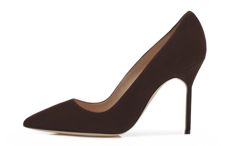(W) Manolo Blahnik Pointed-Toe High Heels 'Deep Brown'