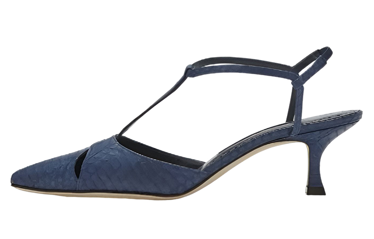 (Women) Manolo Blahnik Pointed Toe Leather Pumps 'Blue' 218-0069-0008