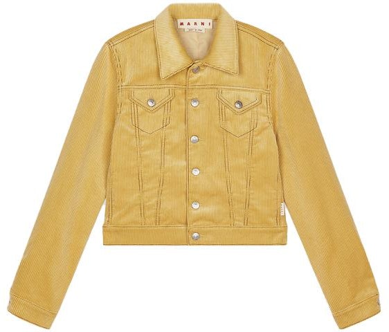 women-marni-solid-yellow-denim-jacket-with-single-breasted-collar-jkma-0242-u-0-tcz-39-00-y16