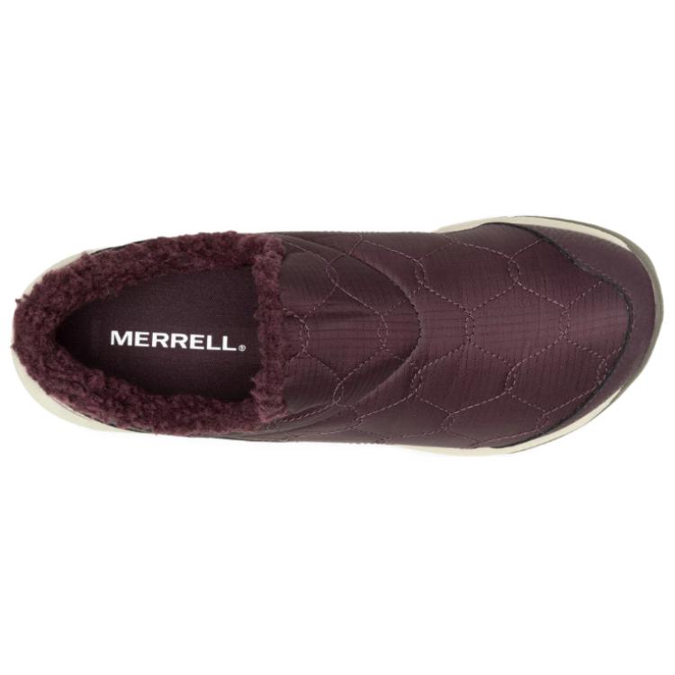 Shop (W) Merrell Antora 3 Thermo Moc ''Burgundy'' Dames Sneakers J067788