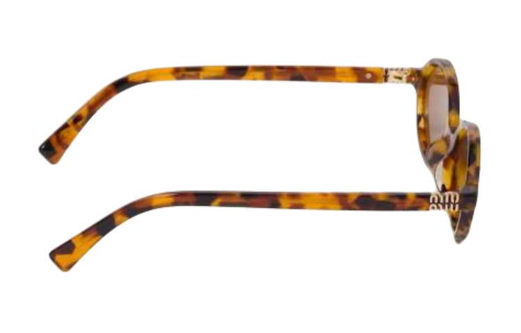 Purchase (W) Gafas de Sol Ovaladas MIU MIU Marrones para Mujer con Logo [Graduadas] SMU04ZE19PF02Z1C050
