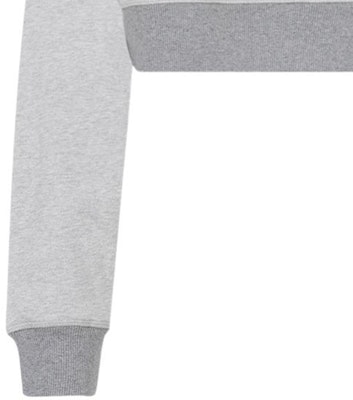 (W) MIU MIU SS24 灰色标志印花短款长袖圆领卫衣 MJL779-14EJ-F0031-S-OOO Details for (W) MIU MIU SS24 灰色标志印花短款长袖圆领卫衣 MJL779-14EJ-F0031-S-OOO