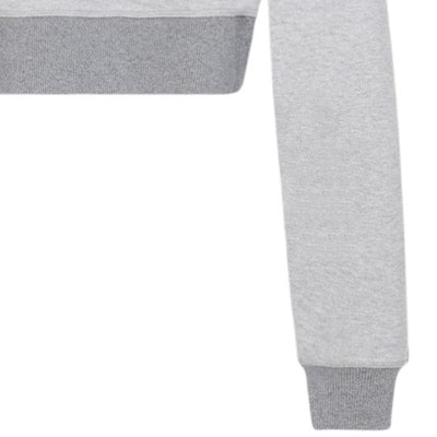 (W) MIU MIU SS24 灰色标志印花短款长袖圆领卫衣 MJL779-14EJ-F0031-S-OOO Cheap (W) MIU MIU SS24 灰色标志印花短款长袖圆领卫衣 MJL779-14EJ-F0031-S-OOO