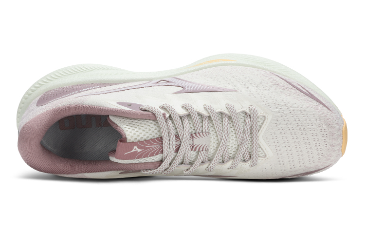Order (Women) Mizuno Astro Plus 'Low Top Pink' D1GH240104