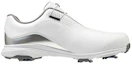 Order (W) Mizuno BOA Golf ''Bianco Argento'' 51GW204003