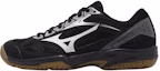 Buy (W) Mizuno Cyclone Speed 2 ''Zwart Zilver''. V1GC198004