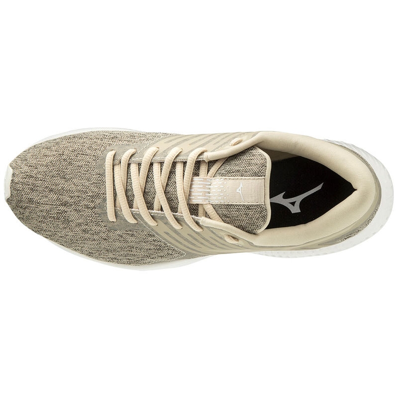 Lookbook (W) Mizuno Ezrun LX 2 'Marrón Confortable y Transpirable' J1GF191811
