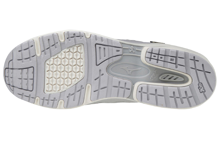 Purchase (Women) Mizuno LD 2 GTX 'Grey' B1GD202605