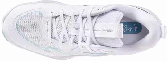 Purchase (W) 美津濃 Wave Momentum Elite ''白藍色調'' V1GC251245
