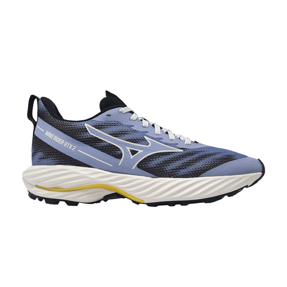 (Women) Mizuno Wave Rider GORE-TEX 2 'Blue Black' J1GD247922