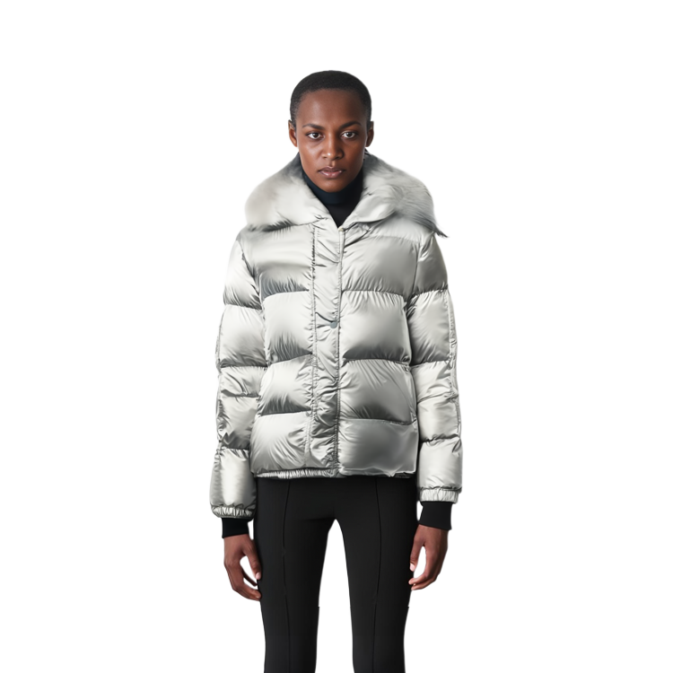 Lookbook (W) Moncler Hanau FW22 Jaket Down Lengan Panjang Silver Putih Glossy. H20931A0010653A3H900