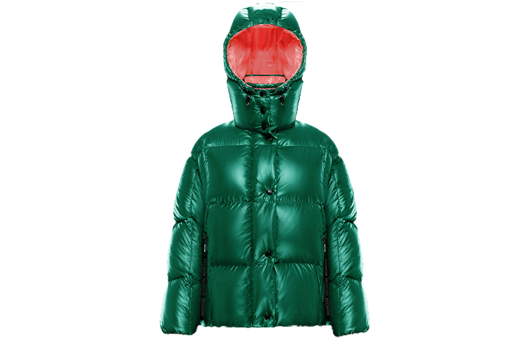 (Women) Moncler Parana Winter Puffer Jacket - Colorblocked Green 0931A51N00C0067854