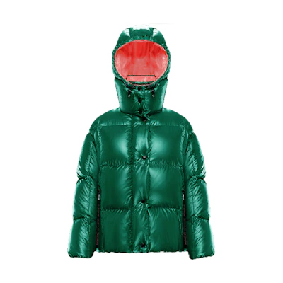 (Women) Moncler Parana Winter Puffer Jacket - Colorblocked Green 0931A51N00C0067854