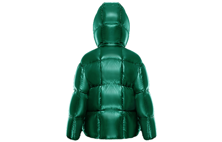 (Women) Moncler Parana Winter Puffer Jacket - Colorblocked Green 0931A51N00C0067854 圖 3