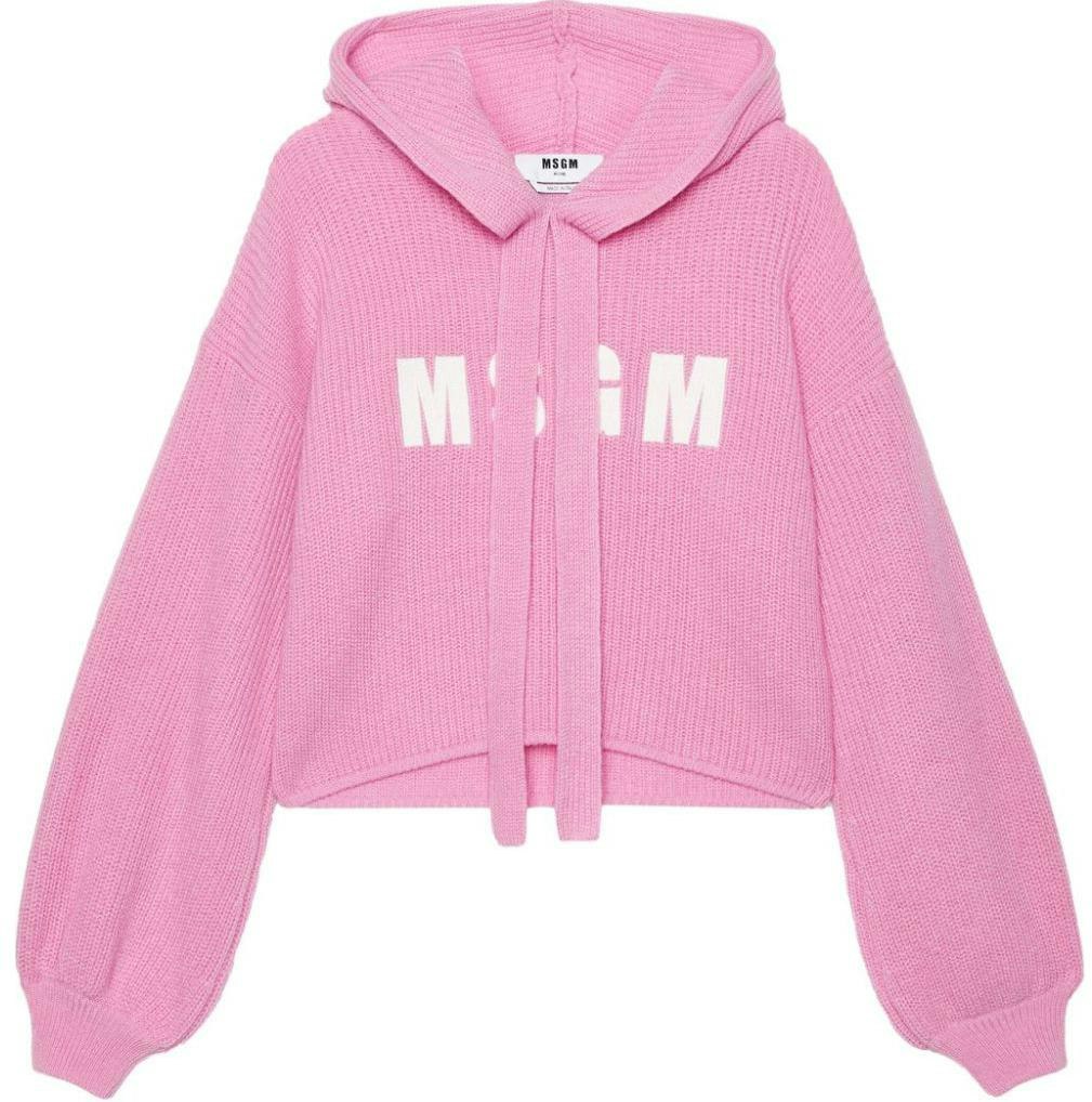 women-msgm-logo-embroidered-oversized-knit-hoodie-for-women-pink-3741-mdm-218247790-pink