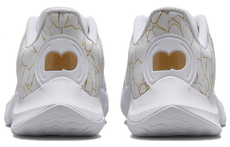 Purchase (W) 大坂なおみ×ナイキ コートGPターボ 白/金 DX0341-100