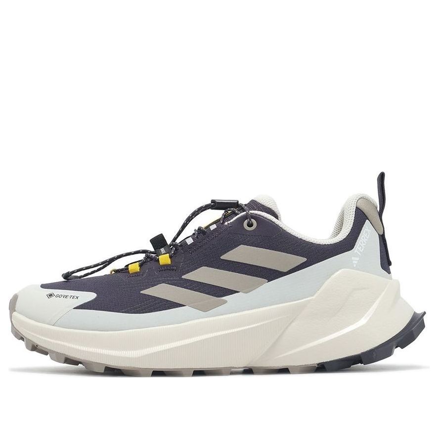 (Women) National Geographic x adidas Terrex Trailmaker 2.0 GORE-TEX 'Aurora Black Putty Beige' JP7065