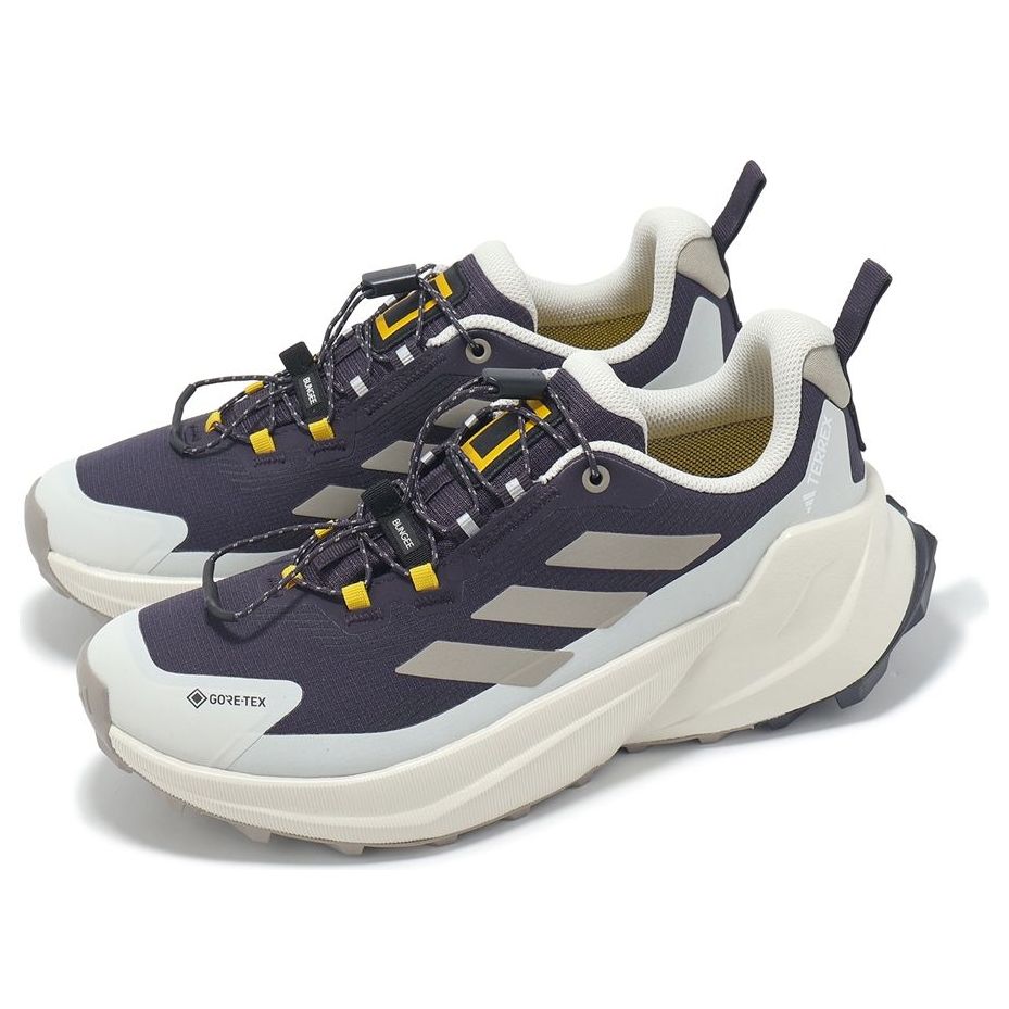 Shop (W) National Geographic x adidas Terrex Trailmaker 2.0 GORE-TEX '極光黑米色' JP7065
