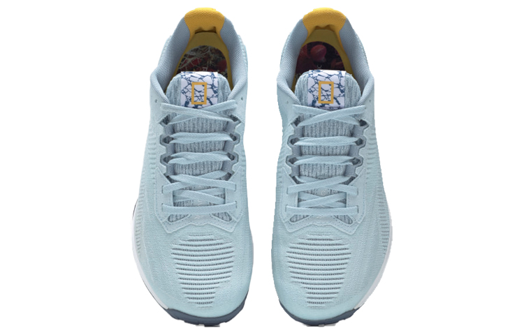 Shop 国家地理 x Reebok Nano X1 Vegan '北極苔原' 女款 GY8810