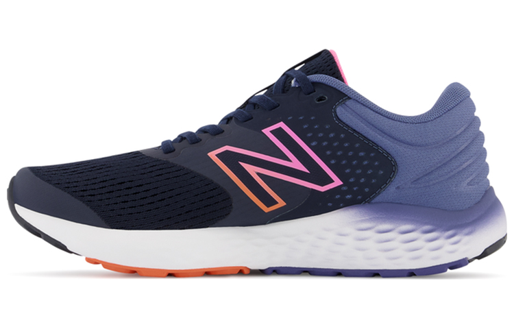 Buy (W) New Balance 520 Siri Low-Top Biru/Kelabu 'Abu-abu' W520HE7