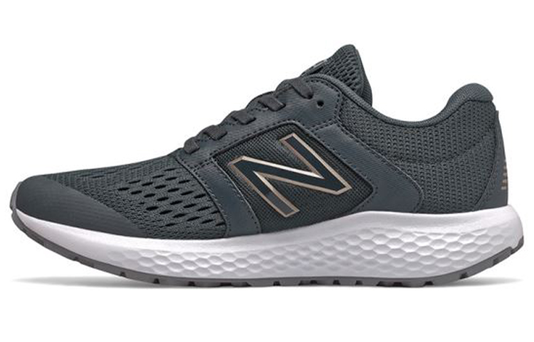 Buy (W) 뉴발란스 520v5 네이비 W520LG5