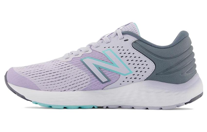 (Women) New Balance 520 v7 'Purple Gray White' W520RG7