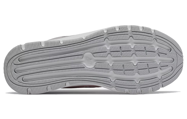 (W) NB 577v5 'Logwood' 圖 4