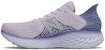 (W) New Balance Fresh Foam 1080v10 'Biru Magnetik Thistle' W1080H10