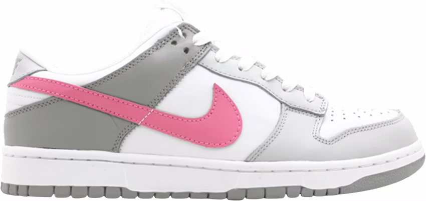 nike-s-dunk-low-pro-wmns-302517-163