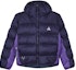 Order (W) Nike ACG Lunar Lake紫色連帽羽絨外套 FB8001-555