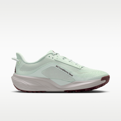 Lookbook (W) Nike ACG Pegasus Trail Verde Claro/Hueso Claro/Tatuaje/Lila Plateado HV8121-302