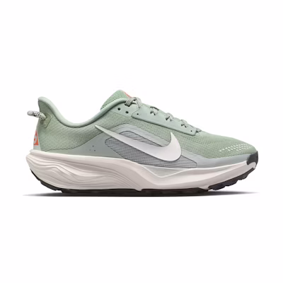 (W) Nike ACG Pegasus Trail 'Jade Horizon'