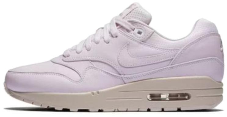 women-nike-air-max-1-pinnacle-839608-500